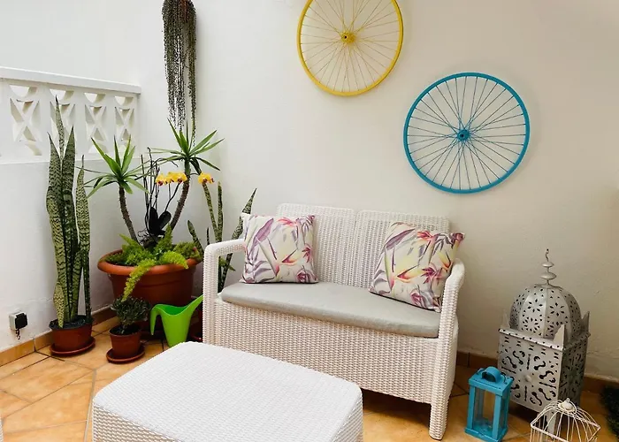 Morrocoy El Cotillo (Fuerteventura)